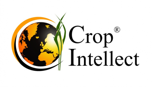 Logo Crop Intellect